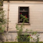 casa-das-rosas-bela-vista-sao-paulo